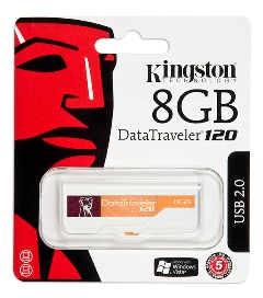 KINGSTON 8 Gb DataTraveler 120